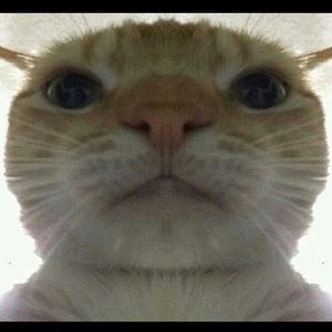 Meet your Posher, Camille